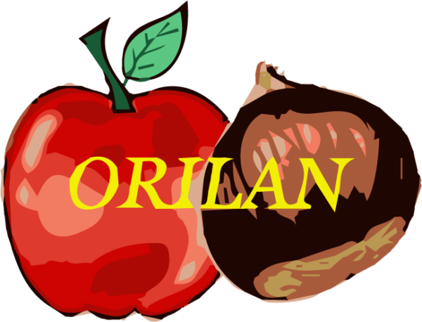 ORILAN LOGO (VECTORISE) SANS FOND 2
